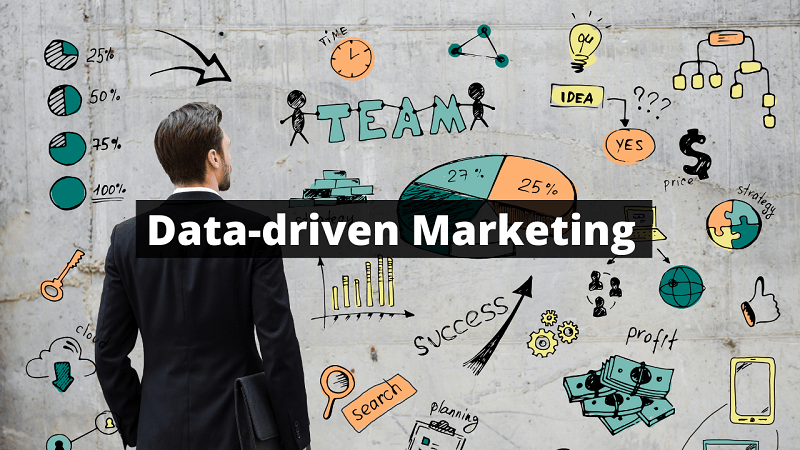 data-driven marketing head