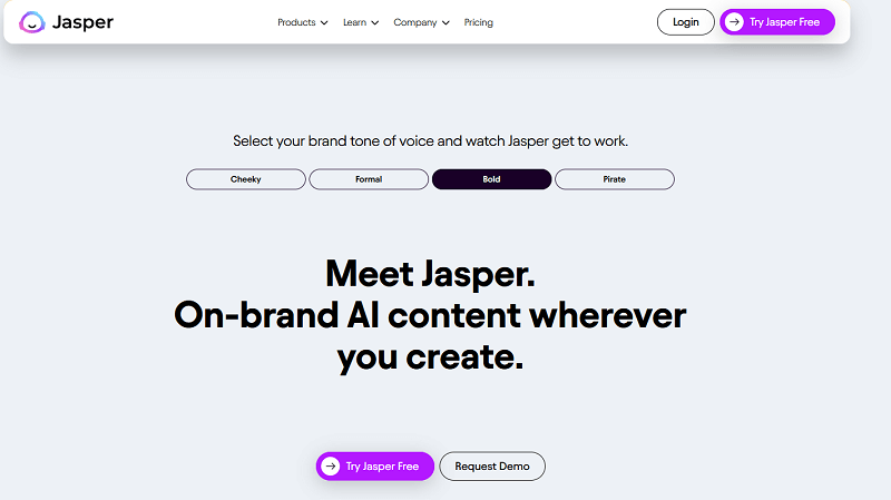 Jasper AI Erfahrungen